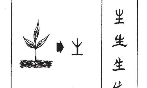 女子骑坐男方身上网女骑男当坐骑的搞笑视频知识网站,分享女生骑坐在男生脖子上的注意事项大全