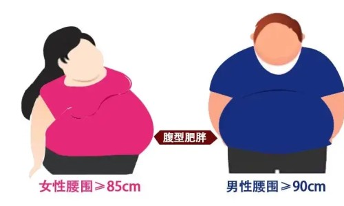 女子骑坐男方身上网女骑男当坐骑的搞笑视频知识网站,分享女生骑坐在男生脖子上的注意事项大全